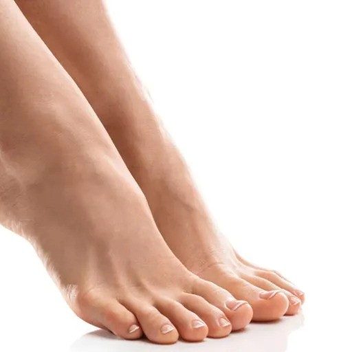 Foot